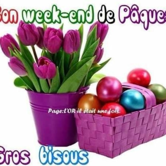 Meet your Posher, Julienne - Picture 1 of 1